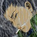 Men_Bou